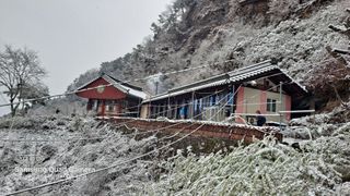 MSG0074님의 자유주제 · 자유게시판 작성글 사진