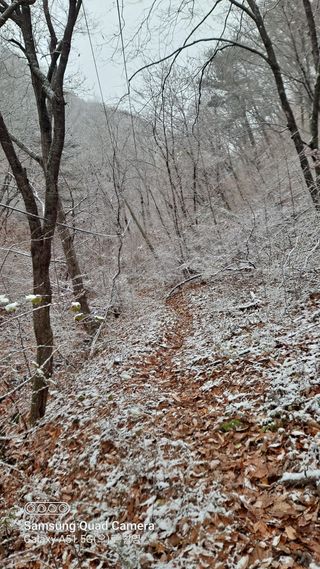 MSG0074님의 자유주제 · 자유게시판 작성글 사진