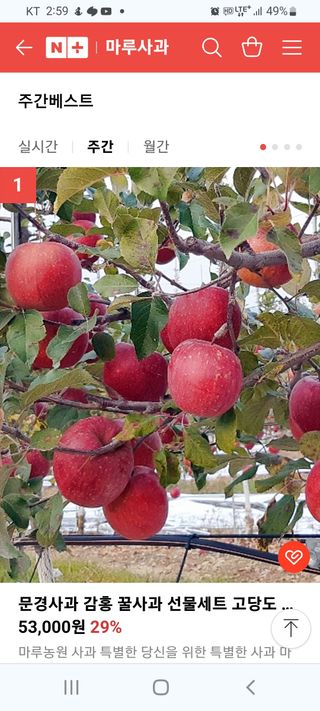 마루사과님의 농한기 휴식 계획 공유하기 · 참여글 작성글 사진