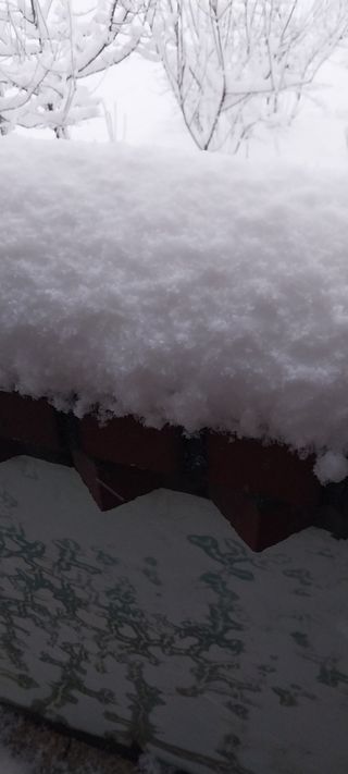 낙엽교목류15665님의 자유주제 · 자유게시판 작성글 사진