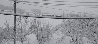 낙엽교목류15665님의 자유주제 · 자유게시판 작성글 사진