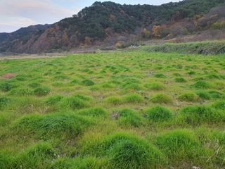 파란들님의 자유주제 · 자유게시판 작성글 사진