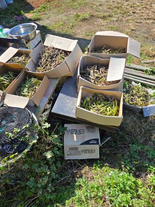 김성부 님의 작성글 사진