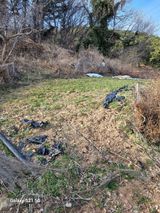 팜모닝 양파·영농일지 게시글 이미지