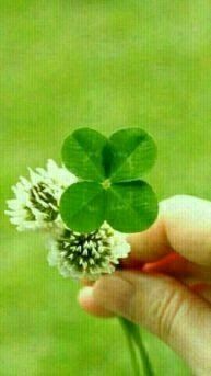 SOUL님의 자유주제 · 자유게시판 작성글 사진