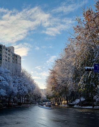 SOUL님의 자유주제 · 자유게시판 작성글 사진