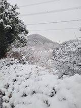 팜모닝 자유주제·자유게시판 게시글 이미지