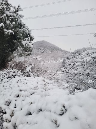 홍가네수정농장님의 자유주제 · 자유게시판 작성글 사진