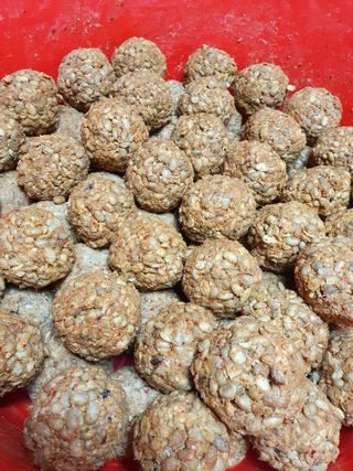 구봉갑산님의 농한기 휴식 계획 공유하기 · 참여글 작성글 사진