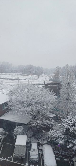 심 영훈님의 기타작물 · 영농일지 작성글 사진