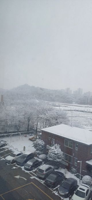 심 영훈님의 기타작물 · 영농일지 작성글 사진