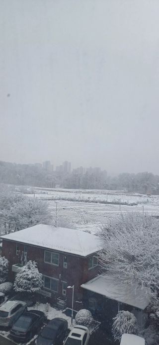 심 영훈님의 기타작물 · 영농일지 작성글 사진