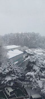 팜모닝 기타작물·영농일지 게시글 이미지