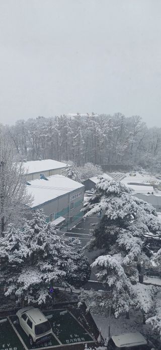 심 영훈님의 기타작물 · 영농일지 작성글 사진