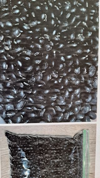 원술님의 자유주제 · 자유게시판 작성글 사진