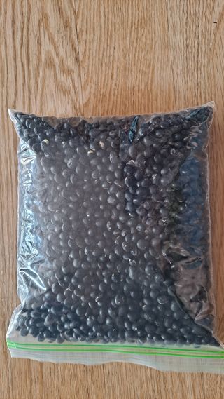 원술님의 자유주제 · 자유게시판 작성글 사진