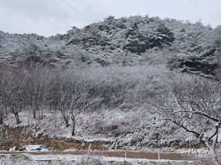 향기나무농장 님의 자유주제 · 자유게시판 작성글 사진