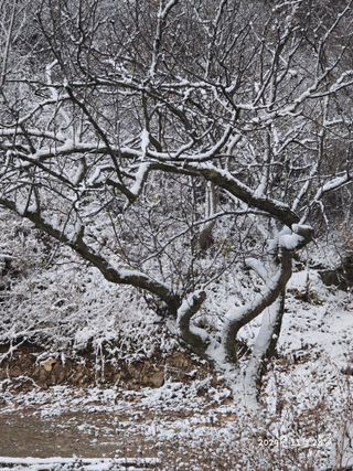 향기나무농장 님의 자유주제 · 자유게시판 작성글 사진
