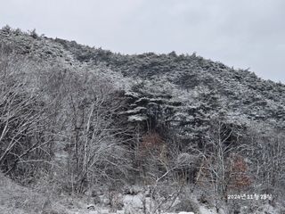 향기나무농장 님의 자유주제 · 자유게시판 작성글 사진