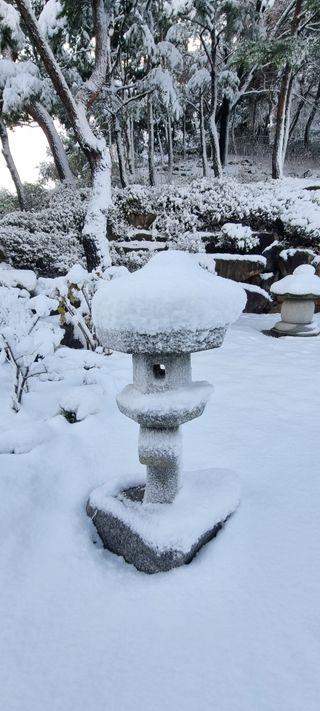 달방구님의 자유주제 · 자유게시판 작성글 사진