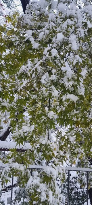 달방구님의 자유주제 · 자유게시판 작성글 사진