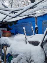 팜모닝 자유주제·자유게시판 게시글 이미지