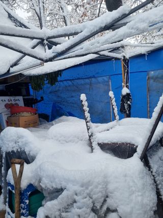 남돌돌님의 자유주제 · 자유게시판 작성글 사진