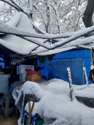 남돌돌님의 자유주제 · 자유게시판 작성글 사진