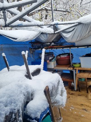 남돌돌님의 자유주제 · 자유게시판 작성글 사진