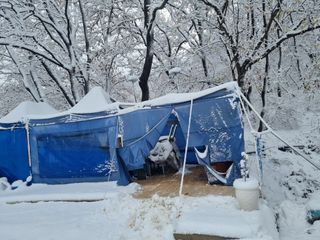 남돌돌님의 자유주제 · 자유게시판 작성글 사진