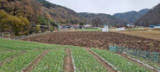 처음처럼 시작님의 농한기 휴식 계획 공유하기 · 참여글 작성글 사진