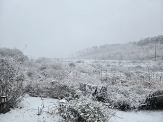 권오관님의 자유주제 · 자유게시판 작성글 사진