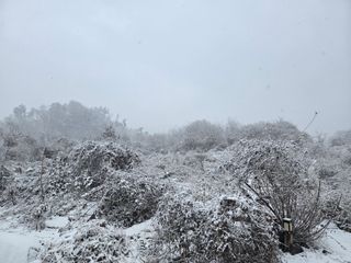 권오관님의 자유주제 · 자유게시판 작성글 사진