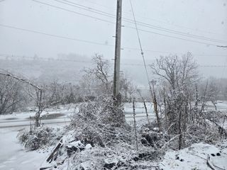 권오관님의 자유주제 · 자유게시판 작성글 사진