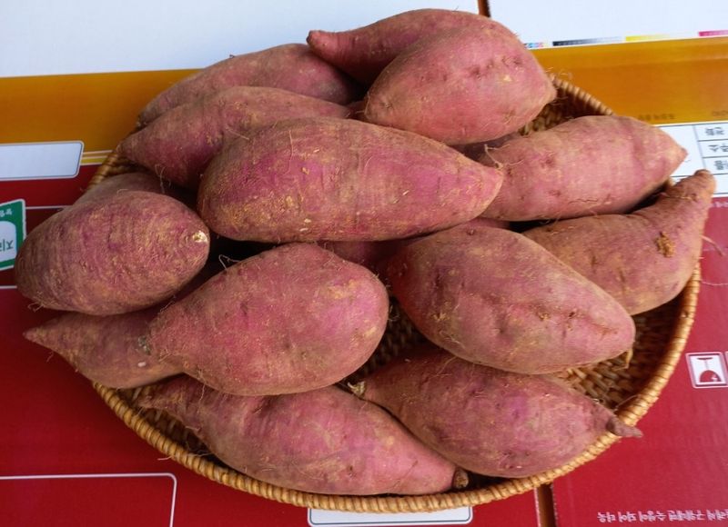 장터 상품 [해남 꿀 밤고구마 5kg] 썸네일