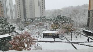 (팽나무*공주)님의 농한기 휴식 계획 공유하기 · 참여글 작성글 사진