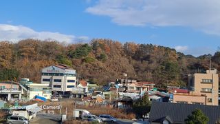 MSG0074님의 자유주제 · 자유게시판 작성글 사진