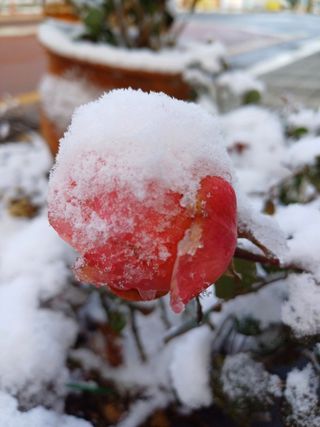 MSG0074님의 자유주제 · 자유게시판 작성글 사진