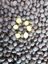 팜모닝 · 게시글 이미지