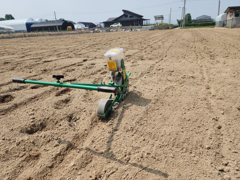 아침못자연농원님의 장터 판매 상품 [새바람 속청 서리태 1kg(완판)] 첨부 사진