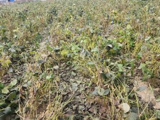 아침못자연농원님의 작성글 사진