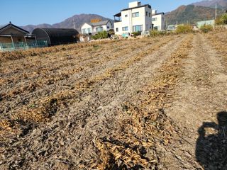 아침못자연농원님의 작성글 사진