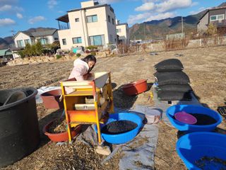 아침못자연농원님의 작성글 사진