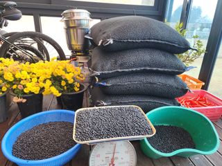 아침못자연농원님의 작성글 사진