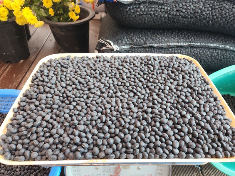 아침못자연농원님의 장터 판매 상품 [새바람 속청 서리태 1kg(완판)] 첨부 사진