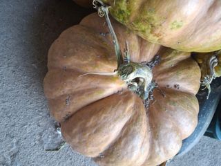 강정순님의 작성글 사진