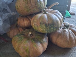 강정순님의 작성글 사진