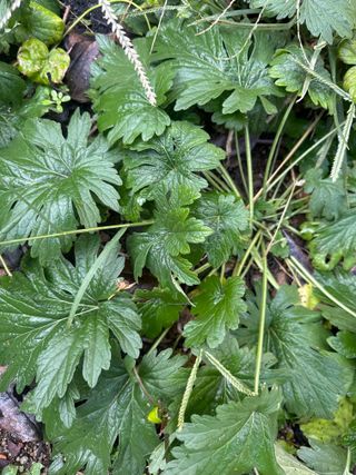 김하준님의 자유주제 · 자유게시판 작성글 사진