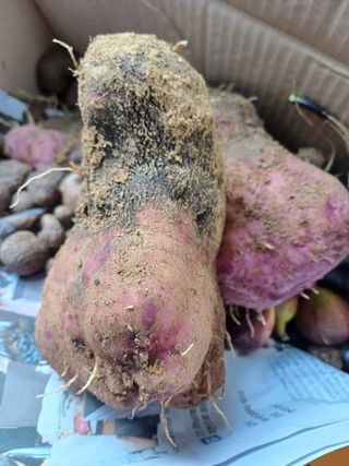 유영옥님의 자유주제 · 자유게시판 작성글 사진