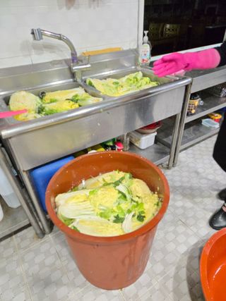 김영복 19146님의 기타작물 · 영농일지 작성글 사진